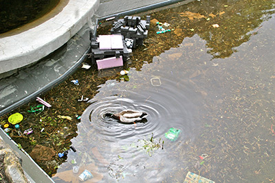 bassin st-vateur