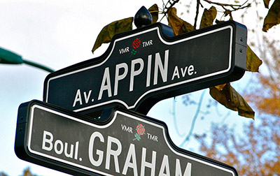 avenue appin