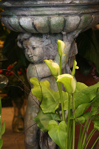 fleuriste4